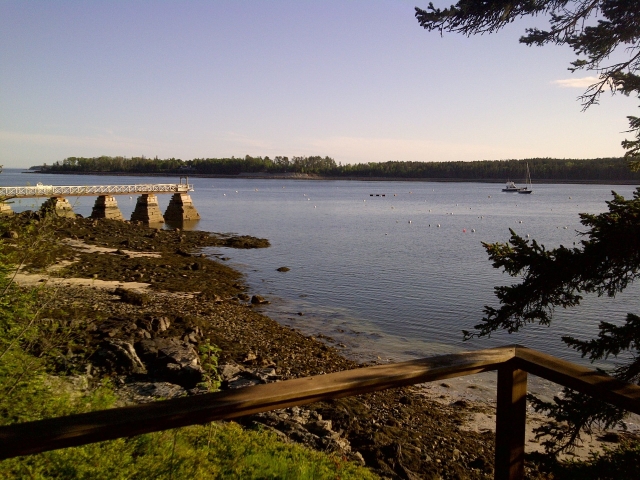 A view from a special spot over looking Scott's Cove.
