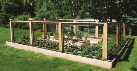 From Yard to Table.  A garden from Homefront Farmers.  How fabulous is that!